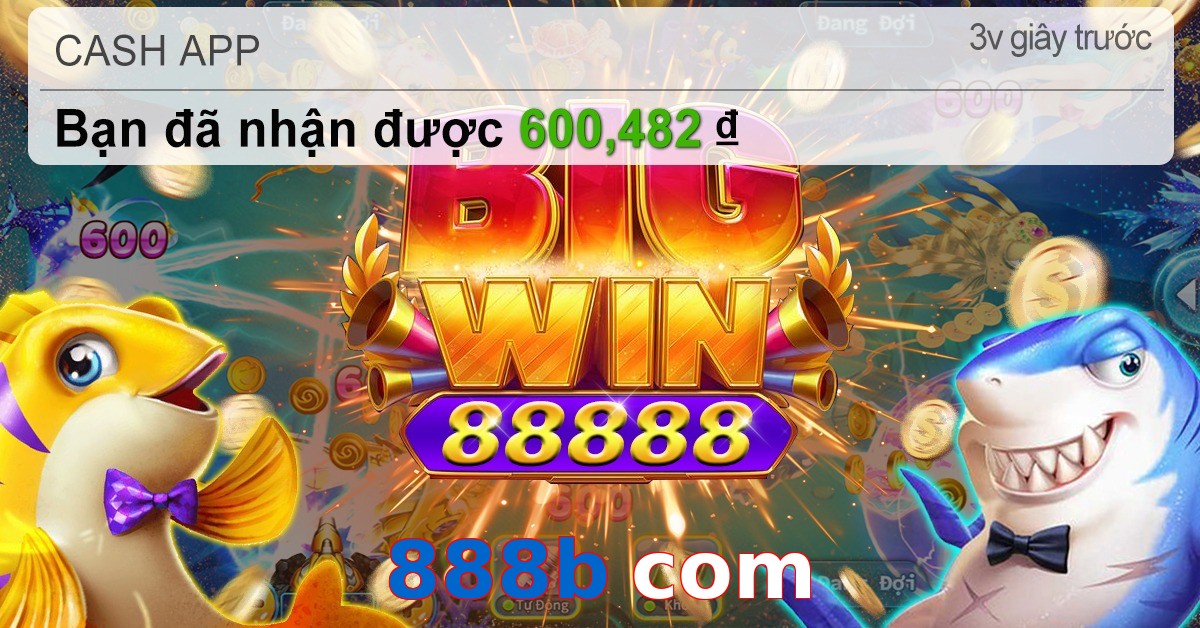888b com